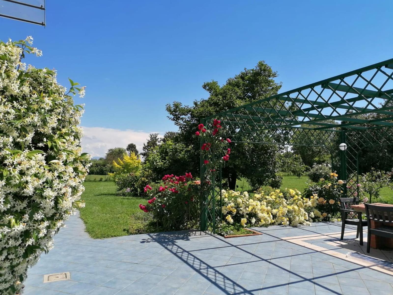 Versilia - Pietrasanta - Le Colmate Guesthouse Tonfano Luaran gambar
