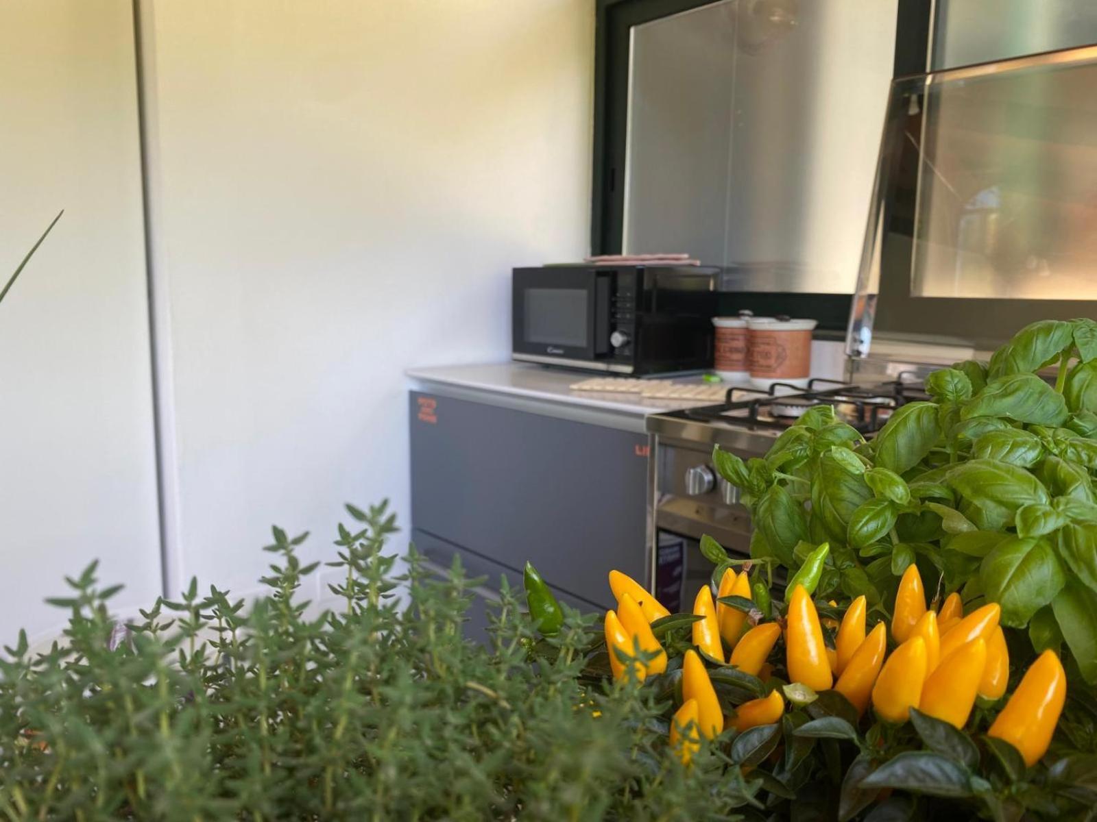 Versilia - Pietrasanta - Le Colmate Guesthouse Tonfano Luaran gambar